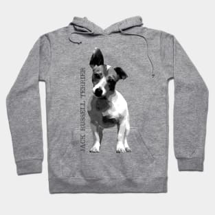 Jack Russell Terrier Hoodie